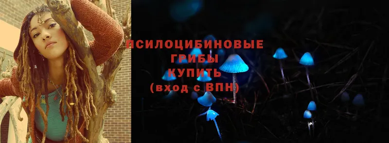 Псилоцибиновые грибы мухоморы  Верея 